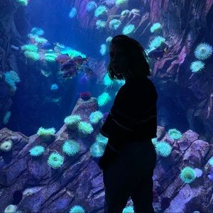 Meet your Posher, Kyra